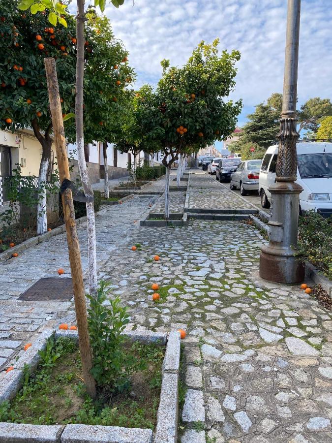 Sevilla. Gerena Casa Rural Para Familia O Profesionales المظهر الخارجي الصورة