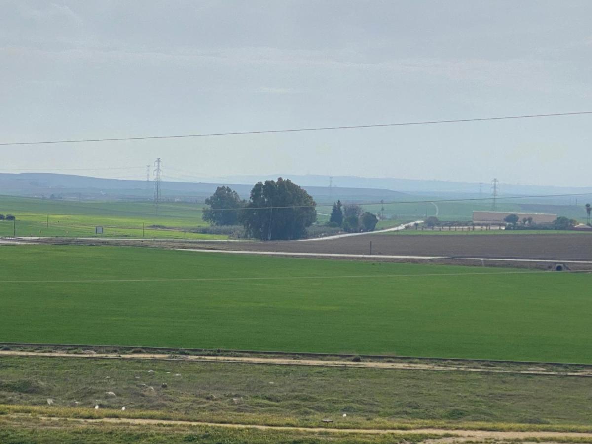 Sevilla. Gerena Casa Rural Para Familia O Profesionales المظهر الخارجي الصورة